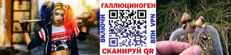 Купить  Кинешма  Псилоцибиновые грибы мухоморы 